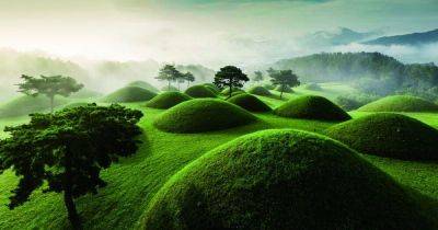 Старые чайные леса Китая, курганы Гая Тумули и планетарий Эйсинги: новые объекты Наследия ЮНЕСКО