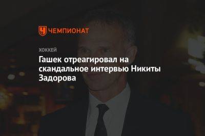Гашек отреагировал на скандальное интервью Никиты Задорова