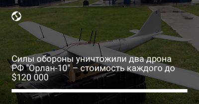 Силы обороны уничтожили два дрона РФ "Орлан-10" – стоимость каждого до $120 000
