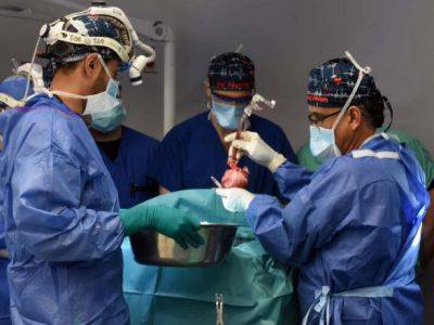 В США хирурги успешно провели трансплантацию сердца от свиньи к человеку