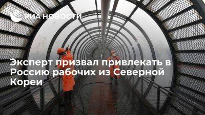 Эксперт: РФ следует заместить мигрантов из Средней Азии рабочими из КНДР