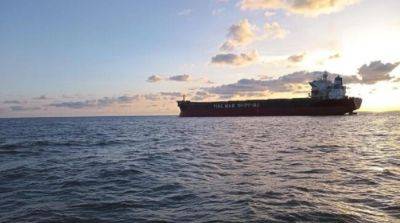 В Турцию зашло второе судно с украинским зерном - ru.slovoidilo.ua - Украина - Египет - Турция - Франция - Палау