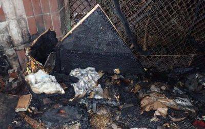 Пожар в приюте для кошек в Киеве: идет следствие