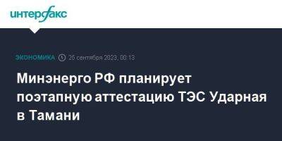Минэнерго РФ планирует поэтапную аттестацию ТЭС Ударная в Тамани