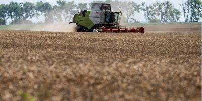 Еврокомиссия и Украина в ближайшие дни финализируют план действий по экспорту украинской агропродукции