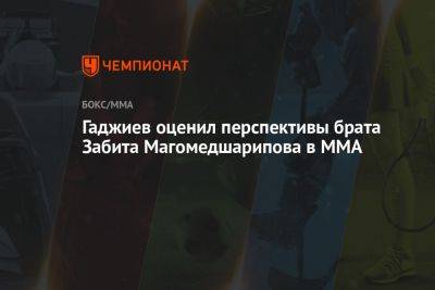 Гаджиев оценил перспективы брата Забита Магомедшарипова в MMA