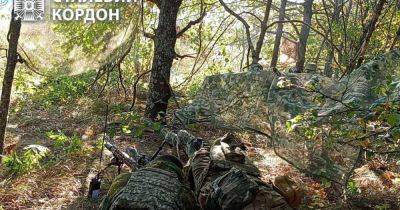 Проникли на территорию: в Харьковской области ликвидировали группировку ВС РФ, — пограничники