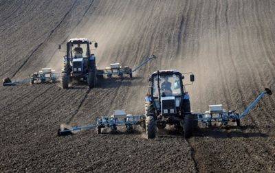 В Одесской области приостановили сев озимой пшеницы
