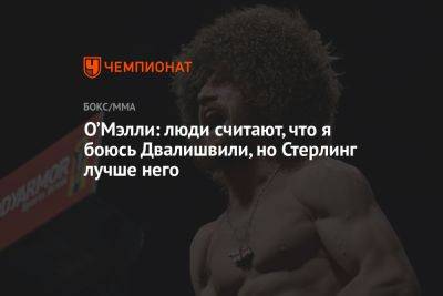 Шон Омэлли - Мераб Двалишвили - О’Мэлли: люди считают, что я боюсь Двалишвили, но Стерлинг лучше него - championat.com