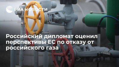 Дипломат Логвинов: ЕС не сможет в скором времени отказаться от российского газа