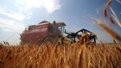 Высокий колос: экспорт зерна из России подскочил в 2,2 раза