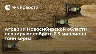 Аграрии Новосибирской области планируют собрать 2,3 миллиона тонн зерна