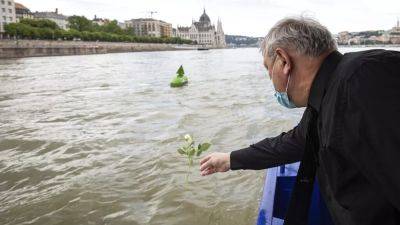 Трагедия на Дунае: украинский капитан круизного теплохода приговорен к 5 годам тюрьмы