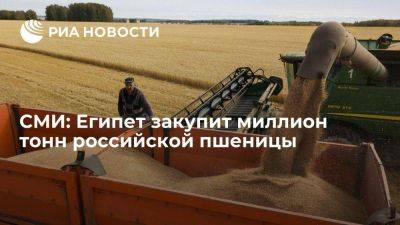 Блумберг: Египет закупит миллион тонн российской пшеницы в рамках соглашения