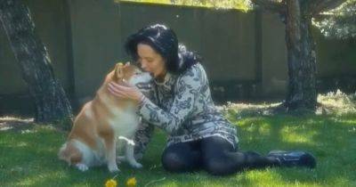 Даша Астафьева в слезах рассказала о смерти своей любимой собаки