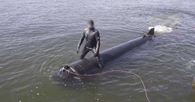 Доплывут до любой точки в Черном море: эксперты раскрыли, чем дроны "Маричка" опасны для РФ