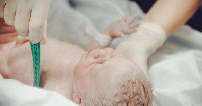 Рождаемость в Украине может стать самой низкой в мире, — WSJ