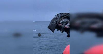 "Защищала свою территорию": моржиха продырявила лодку российских туристов (видео)