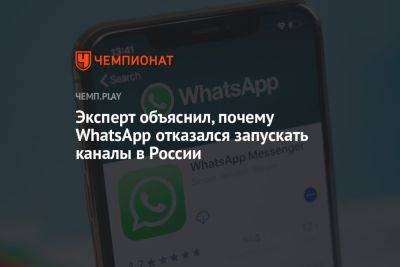 Павел Мясоедов - Эксперт объяснил, почему WhatsApp отказался запускать каналы в России - championat.com - Россия - Казахстан - Киргизия