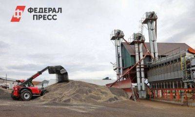 В Красноярском крае производители масличных культур получат 51,5 миллиона рублей