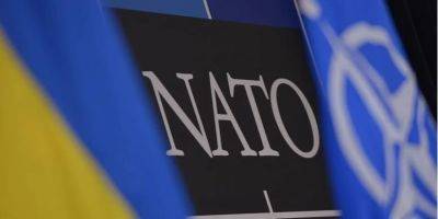 Украина планирует принять Годовую национальную программу для членства в НАТО до конца года — посол при Альянсе