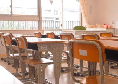 Сейм Литвы рассматривает предложение разрешить в школах проверять вещи учеников
