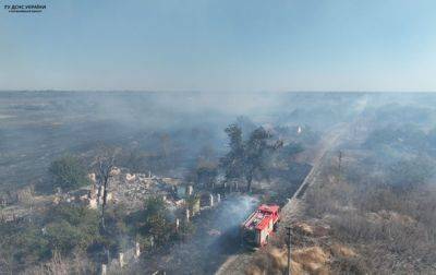 В Николаевской области возникли сразу два пожара в экосистемах