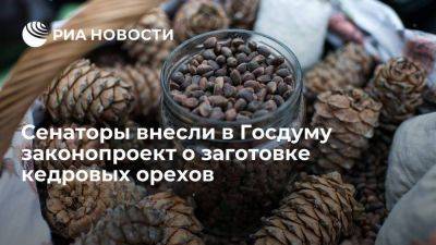 Валентин Матвиенко - Валентина Матвиенко - Юрий Воробьев - Сенаторы внести в ГД поправки для регулирования заготовок кедровых орехов - smartmoney.one - Россия - респ. Алтай - Азия