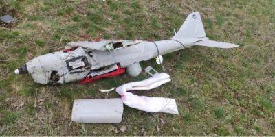 ВСУ сбили российский дрон Орлан в Николаевской области
