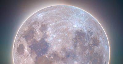 Врожденные рабы Луны. Ученые узнали, насколько сильно спутник Земли влияет на нашу жизнь - focus.ua - Украина - Аргентина - штат Вашингтон
