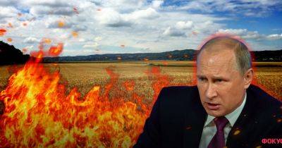 Владимир Путин - Хотел заморить Украину голодом: о чем будет новый иск к Путину в Международный уголовный суд - focus.ua - Россия - Украина - Мариуполь