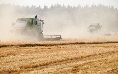 Эмбарго на украинское зерно поддерживают 66% поляков - опрос