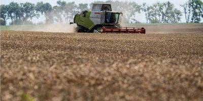 Зерновой конфликт: в Минэкономики назвали условие отзыва иска в ВТО