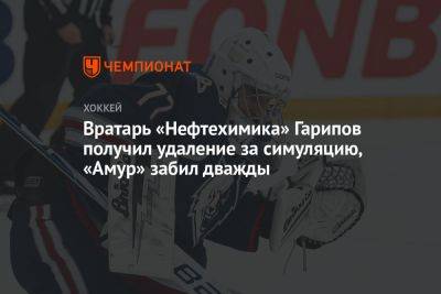 Эмиль Гарипов - Дмитрий Шевченко - Вратарь «Нефтехимика» Гарипов получил удаление за симуляцию, «Амур» забил дважды - championat.com - Нижнекамск - Хабаровск