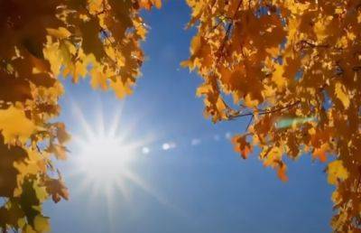 В Украине "остатки лета" перед резким похолоданием: синоптики дали прогноз на четверг 28 сентября