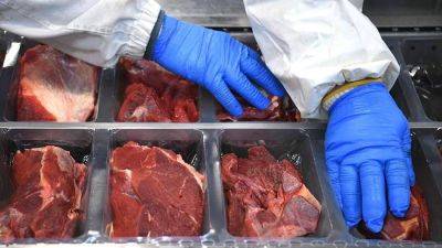 Российский бизнес может начать поставки мяса в Иран
