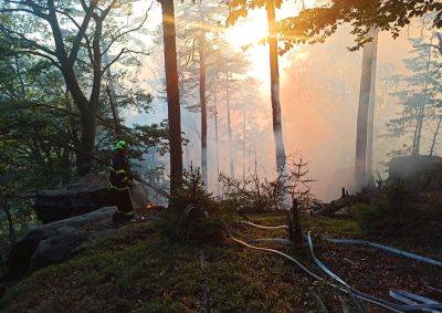 В «Чешской Швейцарии» горит лес