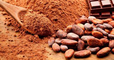 «Коммунарка» в ближайшие годы намерена в 10 раз увеличить объем переработки какао-бобов