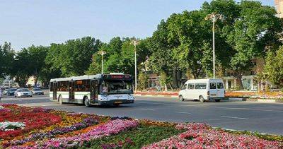 Для чернобыльцев и ветеранов в Худжанде установлен бесплатный проезд в автобусе