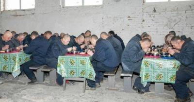 Питание российских военнопленных в Украине - на что тратят государственные средства