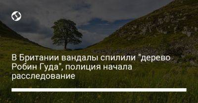 Робин Гуд - В Британии вандалы спилили "дерево Робин Гуда", полиция начала расследование - liga.net - Украина - Англия