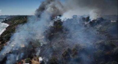 Пожар едва не уничтожил более 100 жилых домов на Одесчине: всему виной безответственность