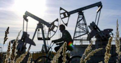Российская нефть продолжает дорожать, несмотря на ценовой потолок G7, — Bloomberg - focus.ua - Россия - США - Украина - Саудовская Аравия - Новороссийск - Приморск