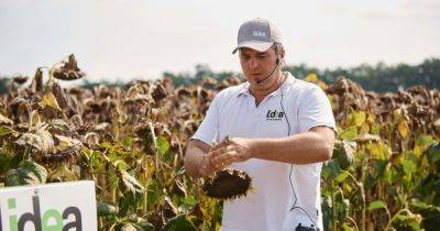 Поддержка в трудное время. Как Lidea помогает украинским фермерам и инвестирует в Украину
