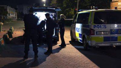 Власти Швеции объявили войну преступным группировкам