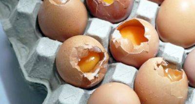 Экономная хитрость умных кулинаров: как сварить разбившееся яйцо - cxid.info