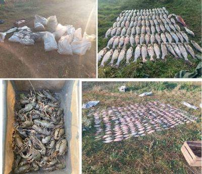 Погубил рыбы более чем на миллион грн: браконьера поймали на Харьковщине