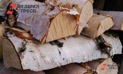 Семьи участников СВО из Иркутска смогут бесплатно получить дрова для топки печей