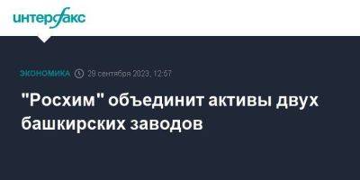 "Росхим" объединит активы двух башкирских заводов