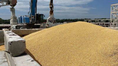 Представители двух стран ЕС не явились на встречу по вопросам экспорта украинского зерна